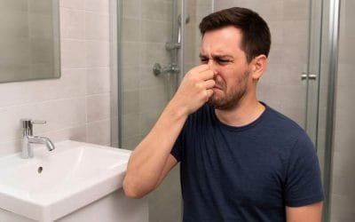 Mauvaises odeurs dans la salle de bain : siphon, évacuation ou colonne commune ?